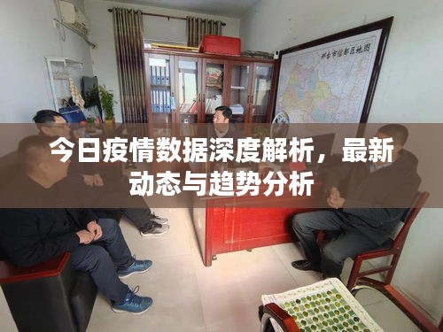 今日疫情數(shù)據(jù)深度解析，最新動(dòng)態(tài)與趨勢(shì)分析