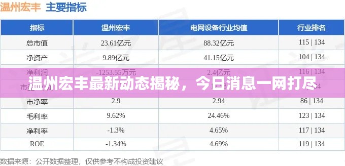 溫州宏豐最新動(dòng)態(tài)揭秘，今日消息一網(wǎng)打盡