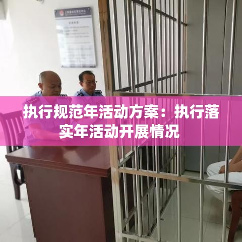 執(zhí)行規(guī)范年活動方案：執(zhí)行落實年活動開展情況 