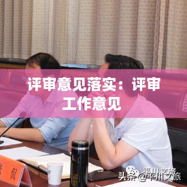 評審意見落實：評審工作意見 