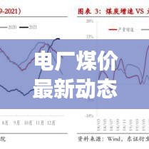 電廠煤價最新動態(tài)，今日價格分析與趨勢解讀