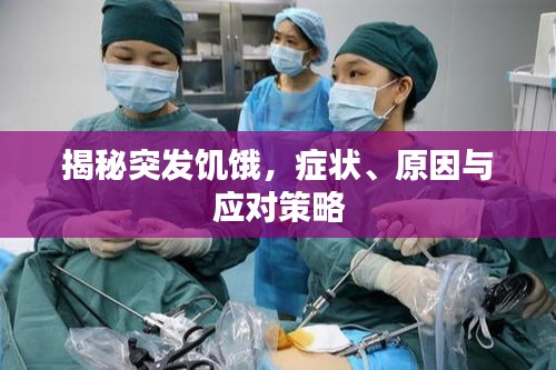 揭秘突發(fā)饑餓，癥狀、原因與應(yīng)對策略
