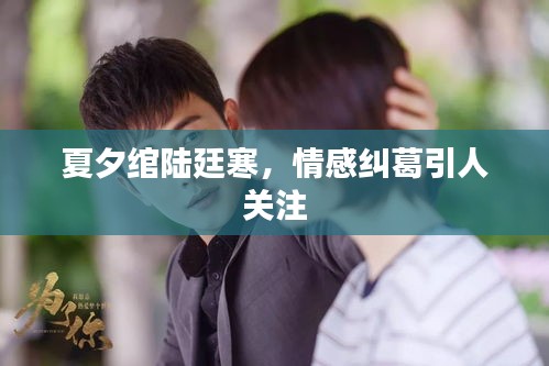 夏夕綰陸廷寒，情感糾葛引人關(guān)注
