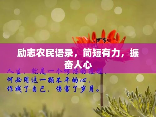 勵志農(nóng)民語錄，簡短有力，振奮人心