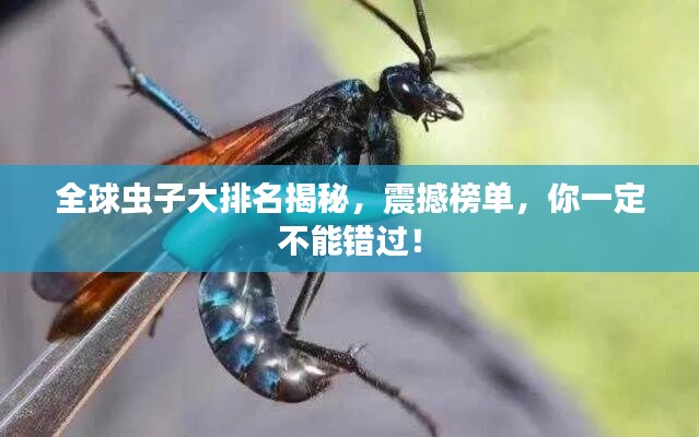 全球蟲子大排名揭秘，震撼榜單，你一定不能錯過！