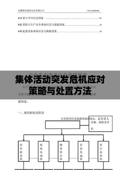 集體活動突發(fā)危機應對策略與處置方法