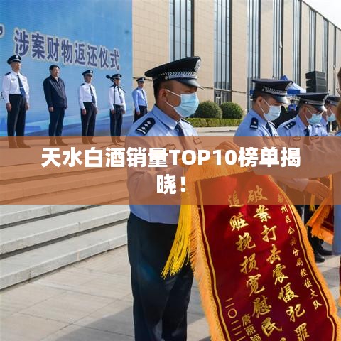 鋪張揚厲 第2頁