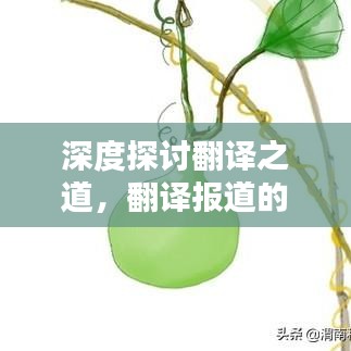 深度探討翻譯之道，翻譯報(bào)道的奧秘解析
