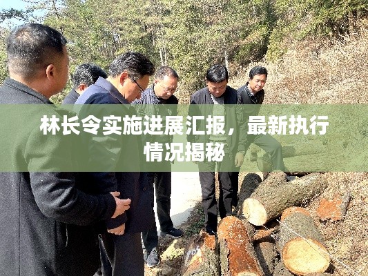 林長(zhǎng)令實(shí)施進(jìn)展匯報(bào)，最新執(zhí)行情況揭秘