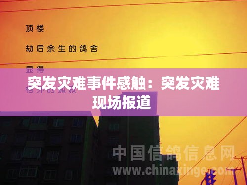 突發(fā)災難事件感觸：突發(fā)災難現(xiàn)場報道 