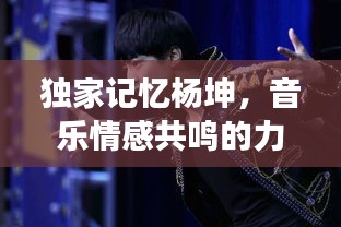 獨(dú)家記憶楊坤，音樂情感共鳴的力量與深度解讀