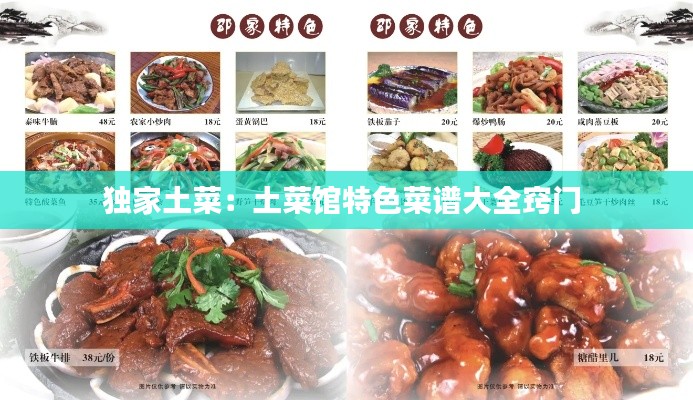獨(dú)家土菜：土菜館特色菜譜大全竅門 