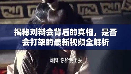 揭秘劉辯會背后的真相，是否會打架的最新視頻全解析