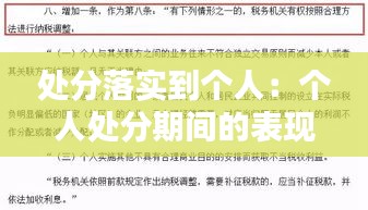 處分落實(shí)到個(gè)人：個(gè)人處分期間的表現(xiàn)和反思 
