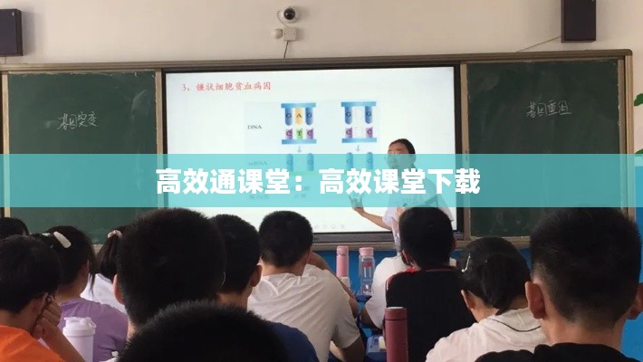 2025年1月 第6頁