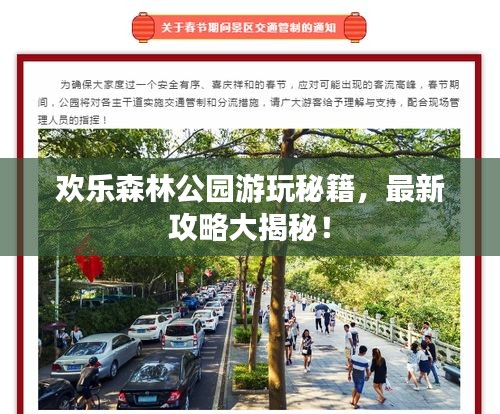 歡樂森林公園游玩秘籍，最新攻略大揭秘！