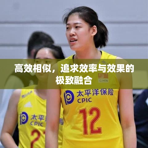 高效相似，追求效率與效果的極致融合