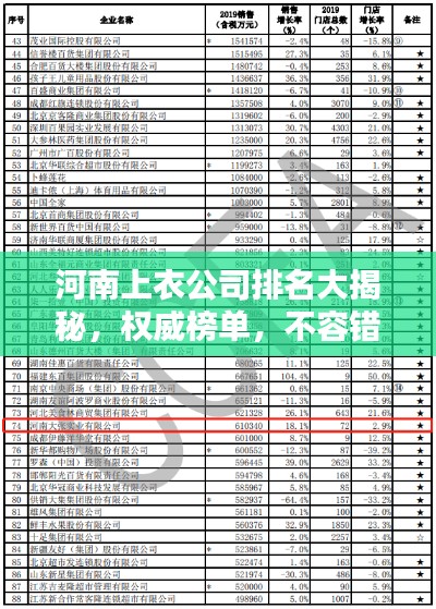 河南上衣公司排名大揭秘，權(quán)威榜單，不容錯(cuò)過！