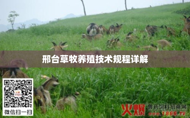 邢臺草牧養(yǎng)殖技術(shù)規(guī)程詳解