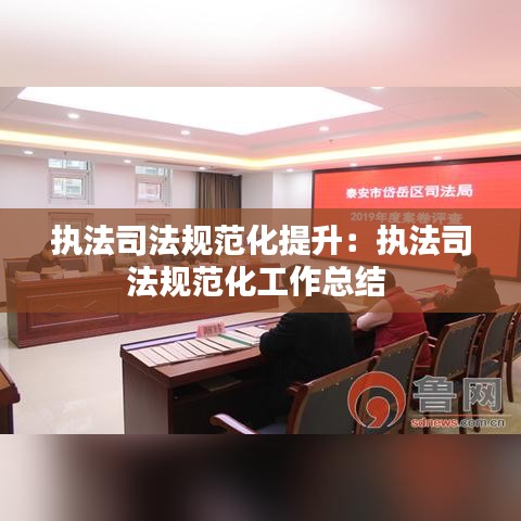 執(zhí)法司法規(guī)范化提升：執(zhí)法司法規(guī)范化工作總結(jié) 