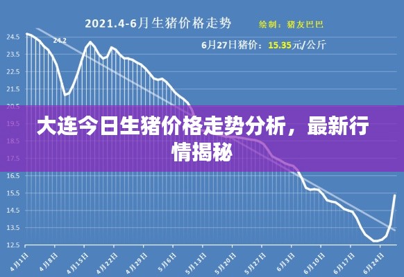 大連今日生豬價格走勢分析，最新行情揭秘