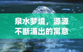 泉水夢境，源源不斷涌出的寓意與啟示