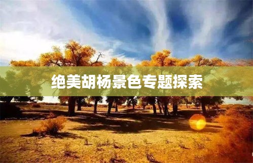絕美胡楊景色專題探索