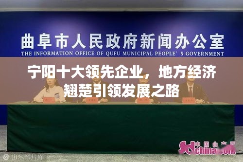 寧陽十大領(lǐng)先企業(yè)，地方經(jīng)濟翹楚引領(lǐng)發(fā)展之路