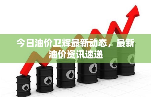 今日油價衛(wèi)輝最新動態(tài)，最新油價資訊速遞