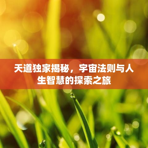 天道獨家揭秘，宇宙法則與人生智慧的探索之旅