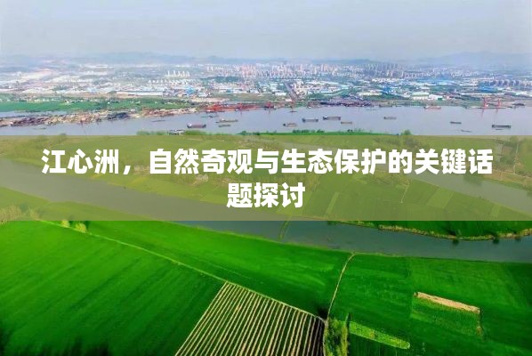 江心洲，自然奇觀與生態(tài)保護(hù)的關(guān)鍵話題探討