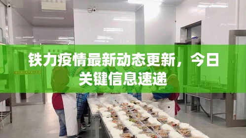 鐵力疫情最新動態(tài)更新，今日關(guān)鍵信息速遞