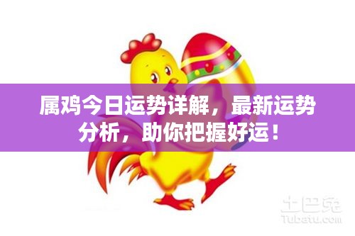 屬雞今日運(yùn)勢詳解，最新運(yùn)勢分析，助你把握好運(yùn)！