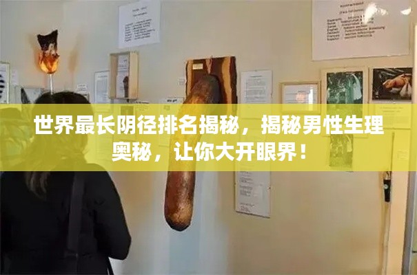 世界最長陰徑排名揭秘，揭秘男性生理奧秘，讓你大開眼界！