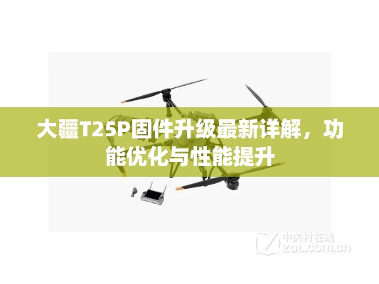 大疆T25P固件升級最新詳解，功能優(yōu)化與性能提升