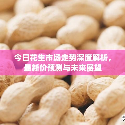 今日花生市場(chǎng)走勢(shì)深度解析，最新價(jià)預(yù)測(cè)與未來(lái)展望