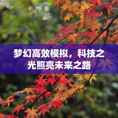 夢幻高效模擬，科技之光照亮未來之路
