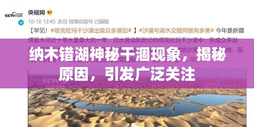 2025年2月6日 第8頁