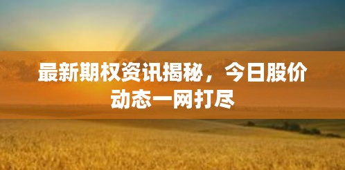 最新期權(quán)資訊揭秘，今日股價(jià)動(dòng)態(tài)一網(wǎng)打盡