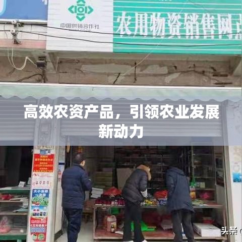 高效農(nóng)資產(chǎn)品，引領農(nóng)業(yè)發(fā)展新動力