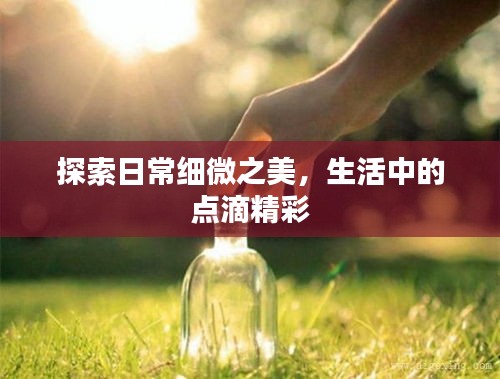 探索日常細(xì)微之美，生活中的點(diǎn)滴精彩