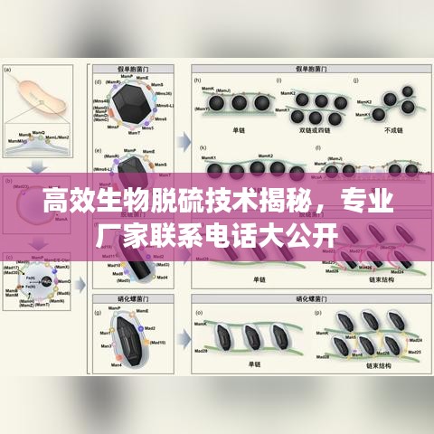 高效生物脫硫技術(shù)揭秘，專業(yè)廠家聯(lián)系電話大公開
