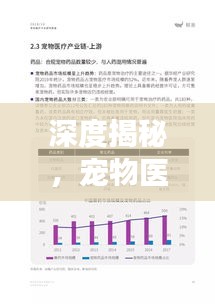 深度揭秘，寵物醫(yī)生的專業(yè)之聲——專業(yè)解讀，深度報(bào)道