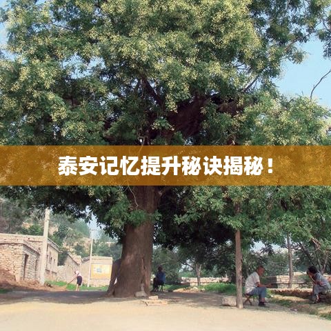 2025年2月7日 第3頁