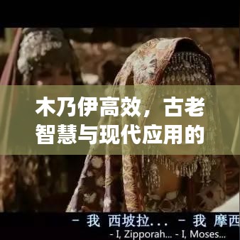 木乃伊高效，古老智慧與現(xiàn)代應(yīng)用的完美融合