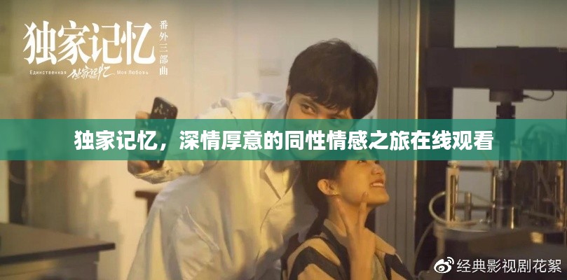 獨(dú)家記憶，深情厚意的同性情感之旅在線觀看