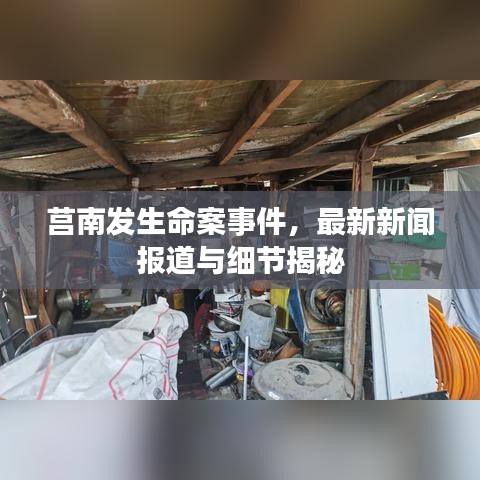 莒南發(fā)生命案事件，最新新聞報(bào)道與細(xì)節(jié)揭秘
