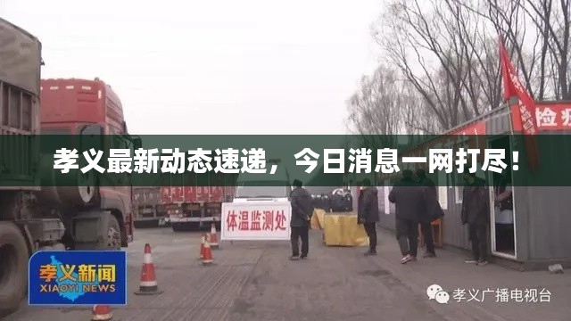 孝義最新動(dòng)態(tài)速遞，今日消息一網(wǎng)打盡！