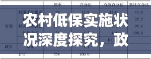 農(nóng)村低保實施狀況深度探究，政策落實與成效觀察