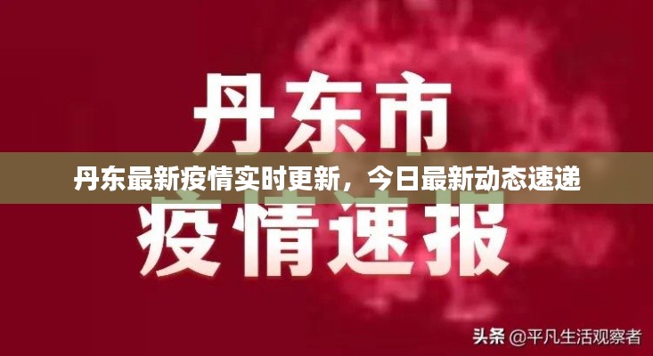 丹東最新疫情實(shí)時(shí)更新，今日最新動(dòng)態(tài)速遞